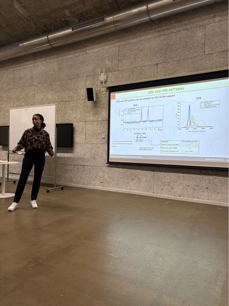 CatFal25-5 (edited 10.10.25 09:26:40)